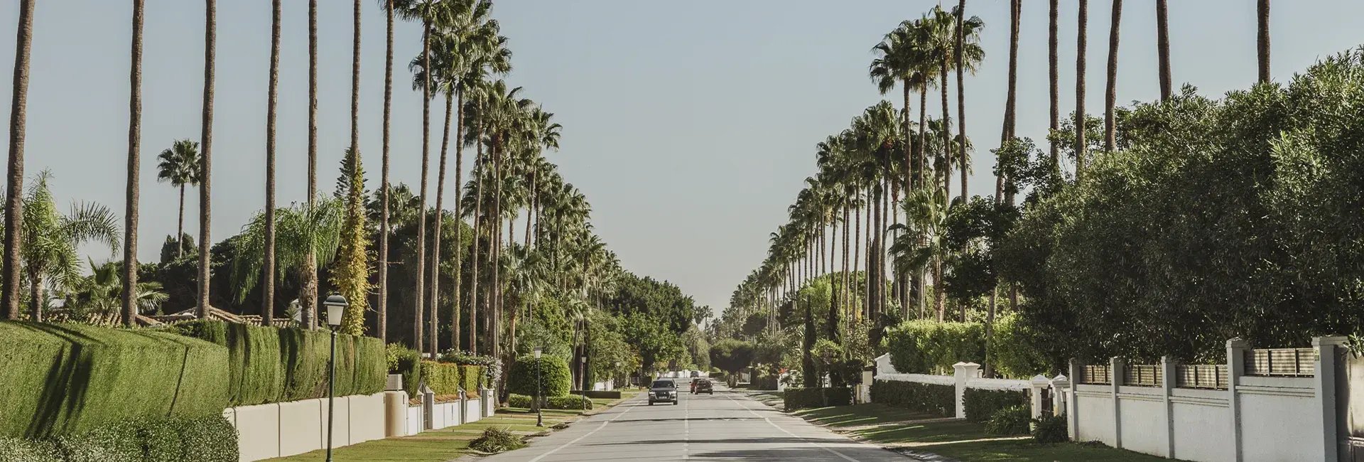 paseo-parque paseo-parque